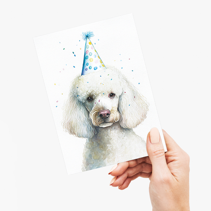 White poodle wearing a party hat - Greeting Card