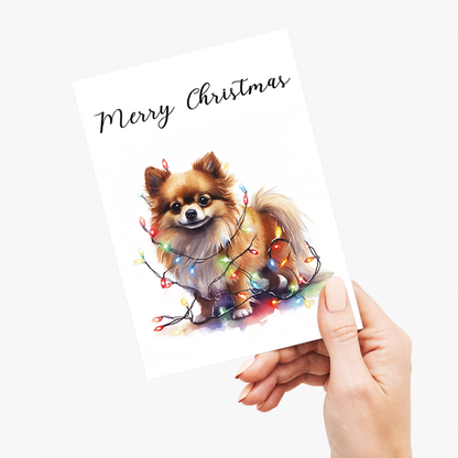 Pomeranian tangled in Christmas light - Greeting Card