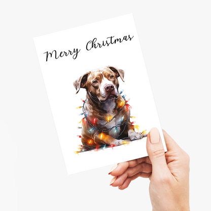 Staffordshire tangled in Christmas light - Greeting Card