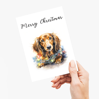 Dachshund tangled in Christmas light - Greeting Card