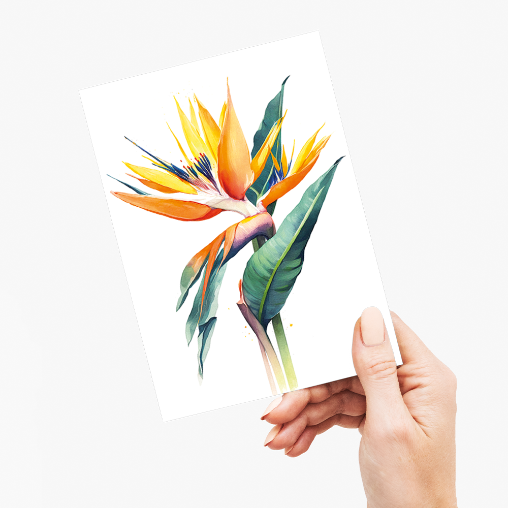 Strelitzia III - Wenskaart