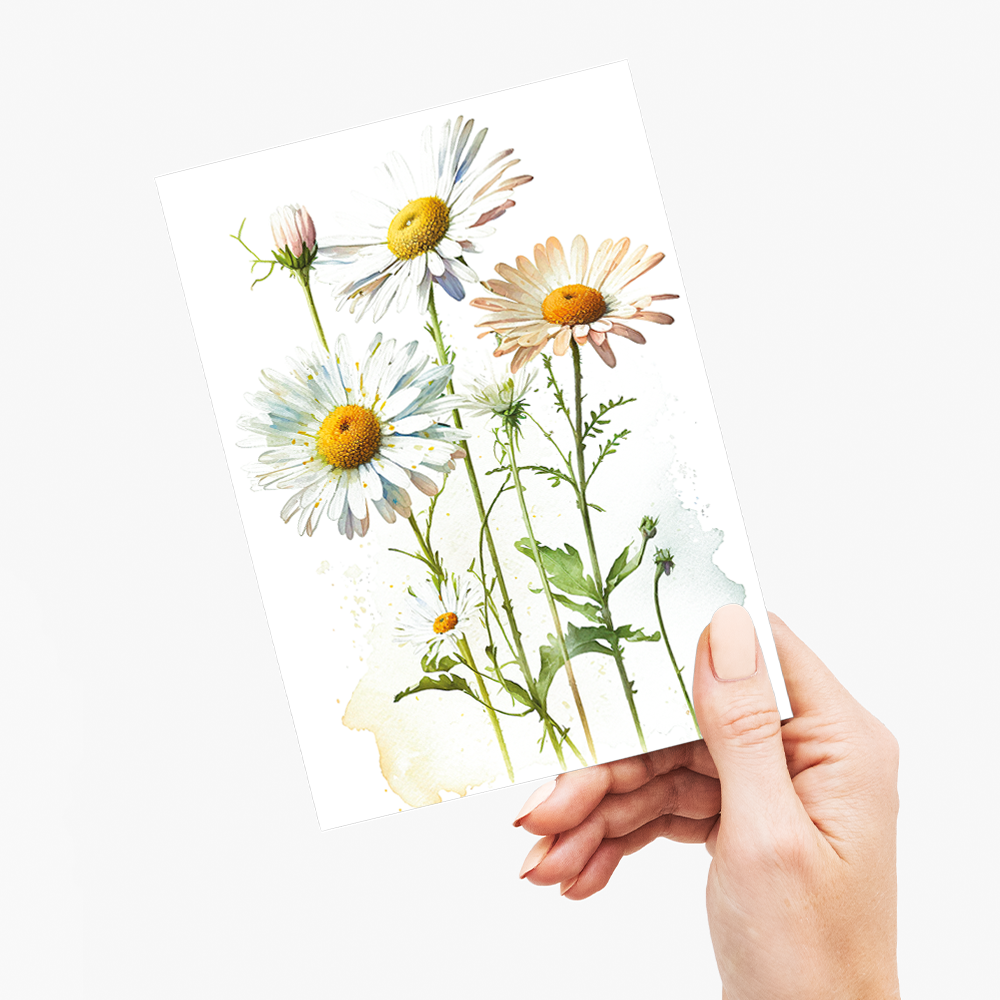 Daisies II - Wenskaart