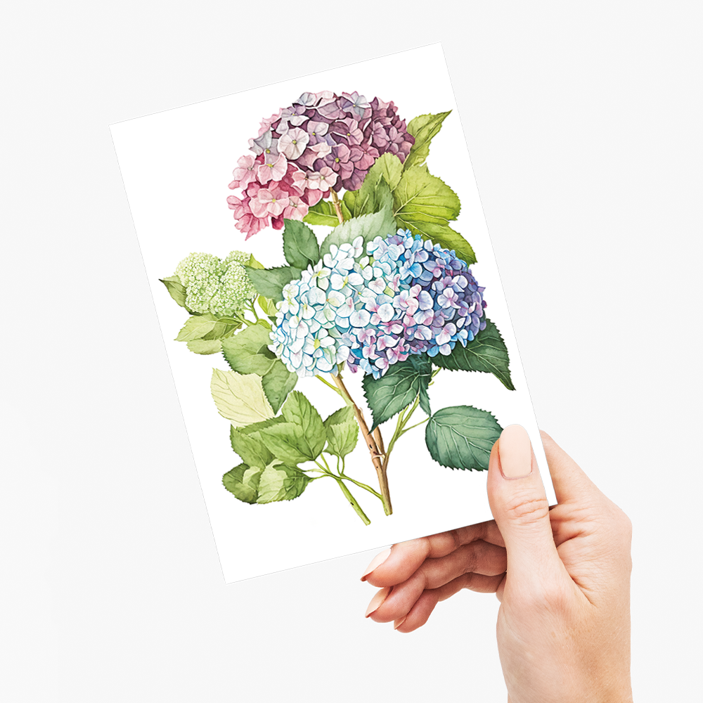 Hydrangea 2 - Wenskaart