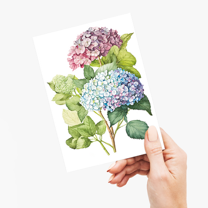 Hydrangea 2 - Wenskaart
