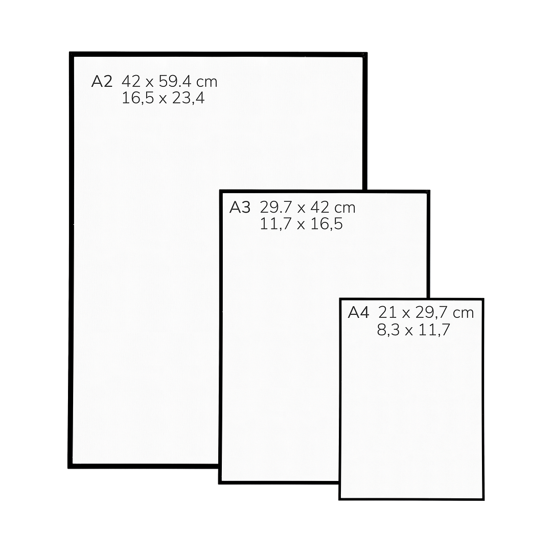 Double-Fronted or Le Vaillant's Amazon - Art Print